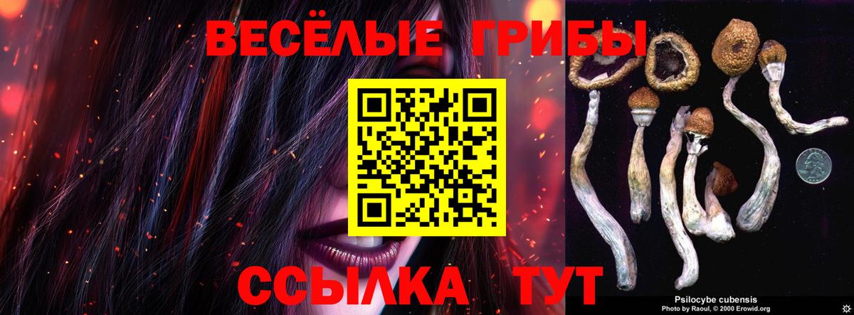 Галлюциногенные грибы мухоморы  наркотики  Буйнакск  Псилоцибиновые грибы мицелий  Вход с VPN 